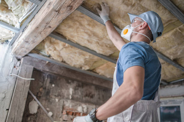 Best Commercial Insulation in North Utica, IL