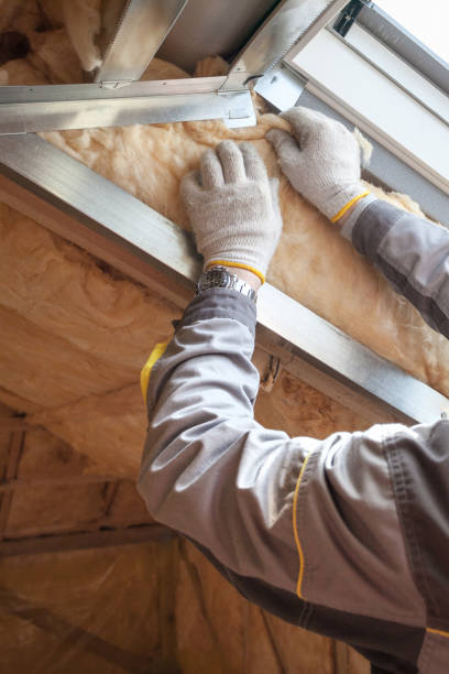 Best Cellulose Insulation in North Utica, IL